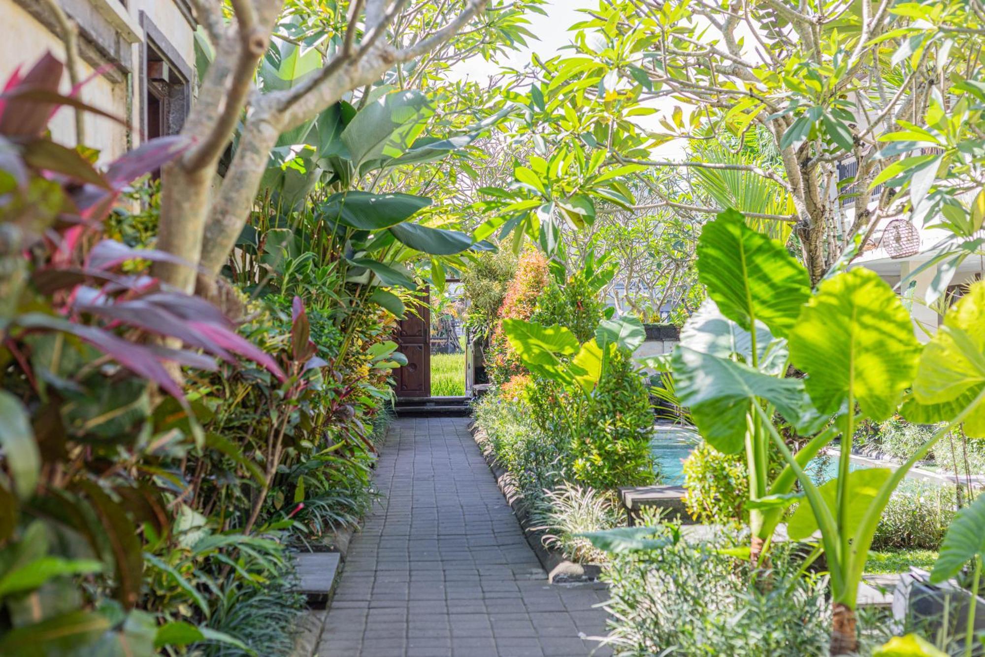 Puri Canggu Villas & Rooms Exterior photo